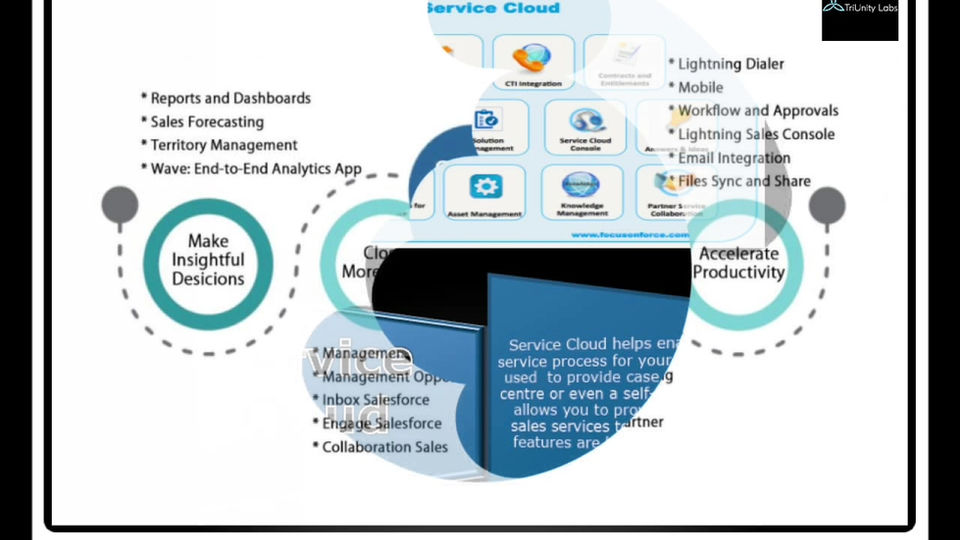 Salesforce services offered by Triunity labs